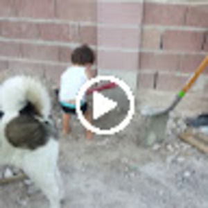 Meet your Posher, Pablo